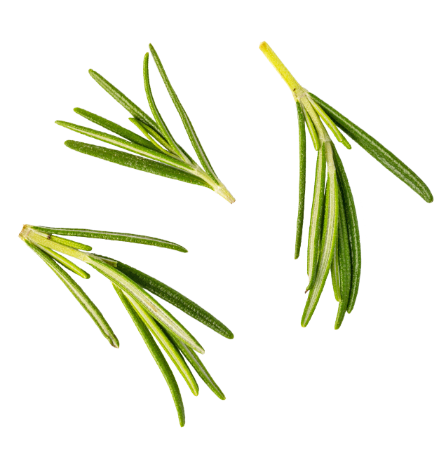 rosemary